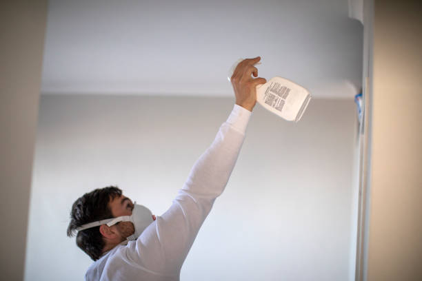 Best Same-Day Mold Removal  in Hazel Park, MI